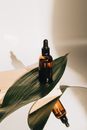 Stylish skincare dropper bottle with large leaf on reflective surface, ideal for beauty product advertising.